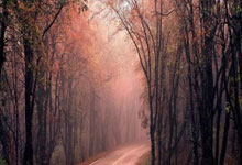 NG28官网：英超-伊萨克头球制胜 阿森纳客场0-1纽卡斯尔.