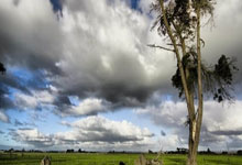 NG28官网：震撼！特鲁姆普92杆高居榜首，罗伯逊破百次数逼.