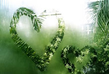 NG28官网：[天下足球]博尼费斯两球 勒沃库森轻取霍芬海姆.