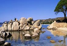 薛飞1-3遭林昀儒逆转，WTT仁川冠军赛男单首轮出局.